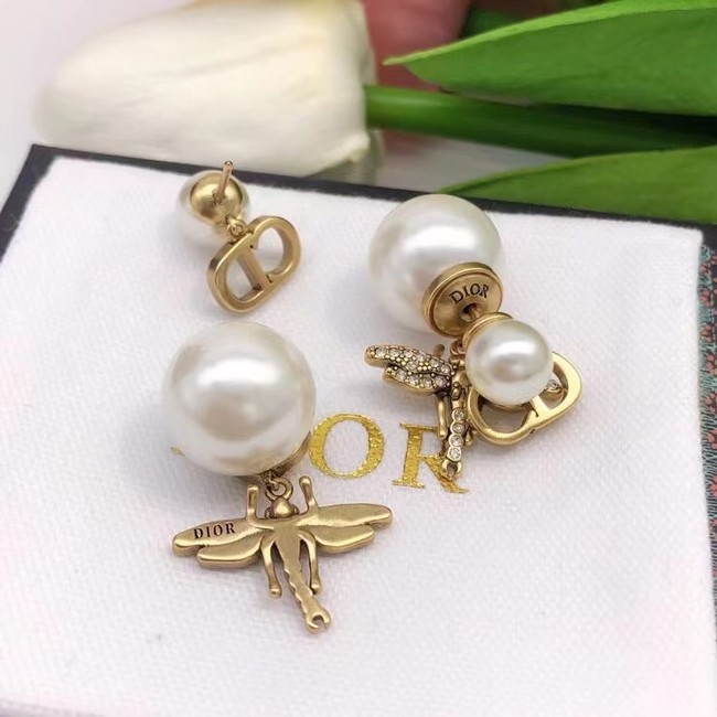 Dior Earrings CE7028