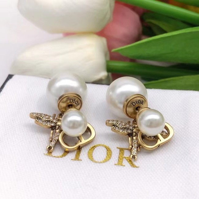 Dior Earrings CE7028