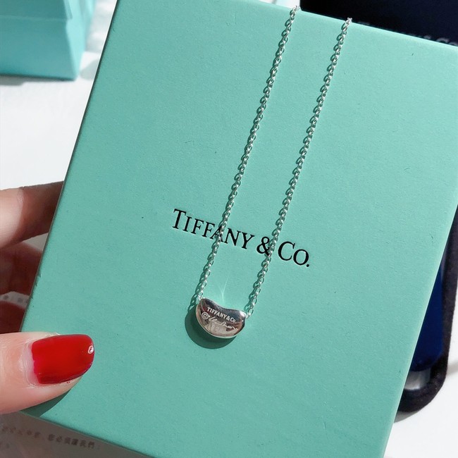 TIFFANY Necklace CE7068