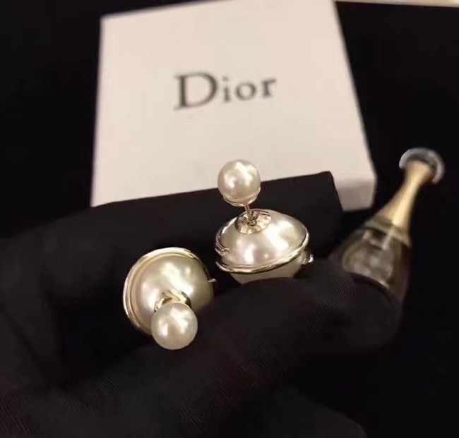 Dior Earrings CE7110