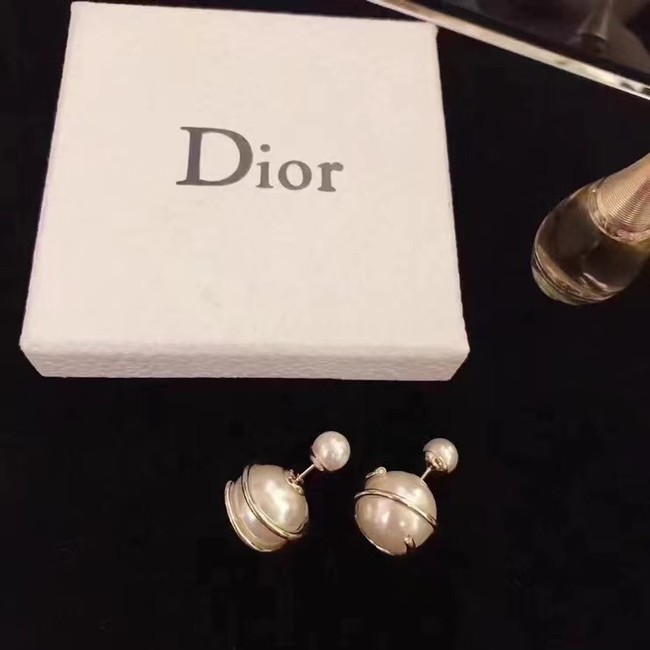 Dior Earrings CE7110