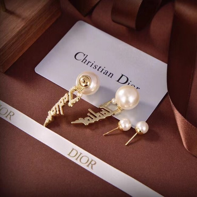 Dior Earrings CE7116