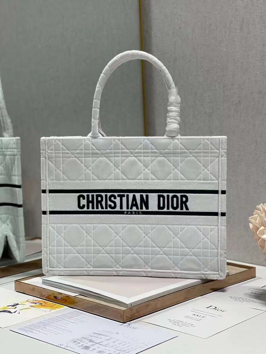 SMALL DIOR BOOK TOTE Velvet C1287-1 white