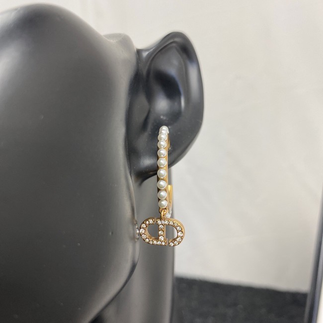 Dior Earrings CE7159