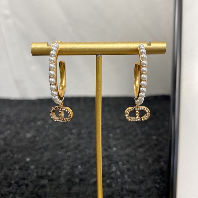 Dior Earrings CE7159