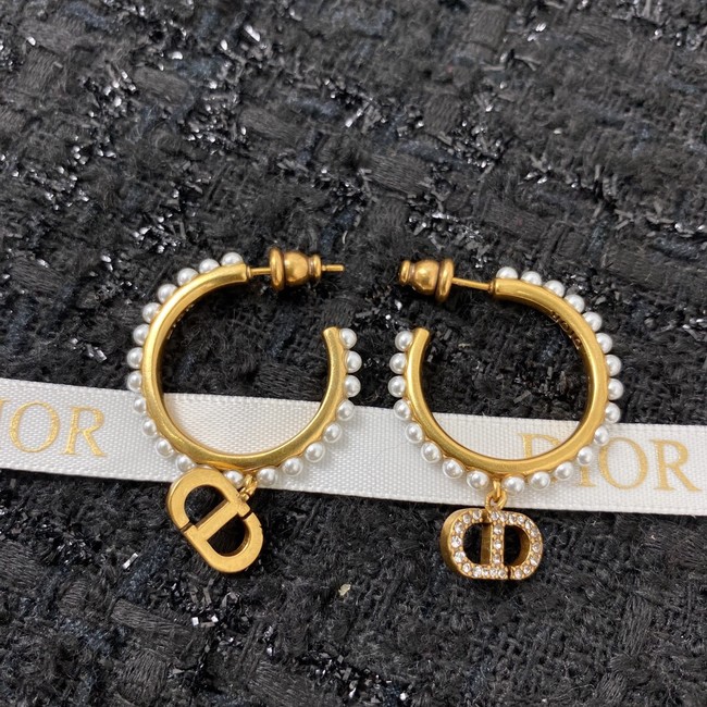 Dior Earrings CE7159