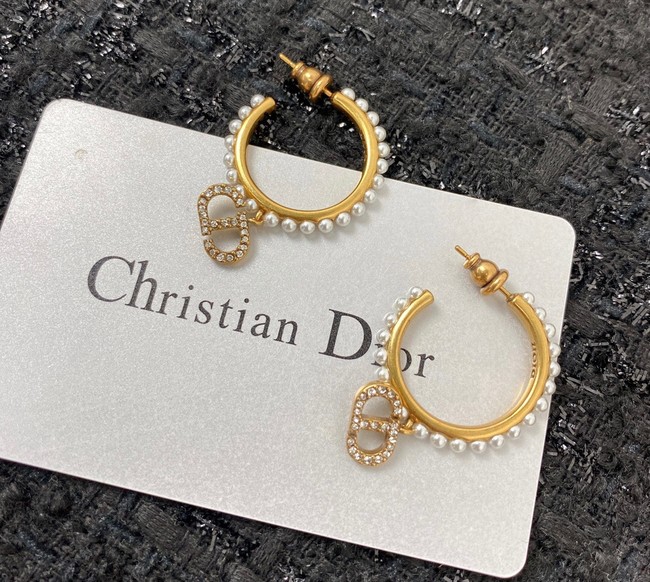 Dior Earrings CE7159