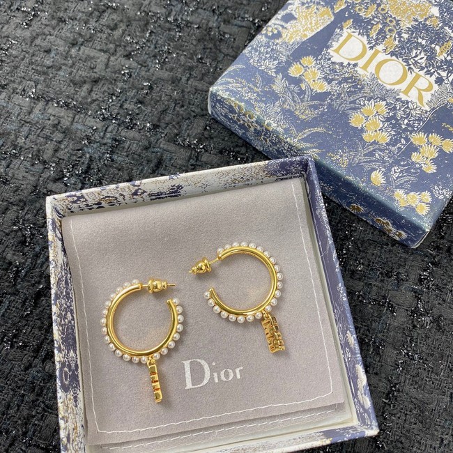 Dior Earrings CE7151