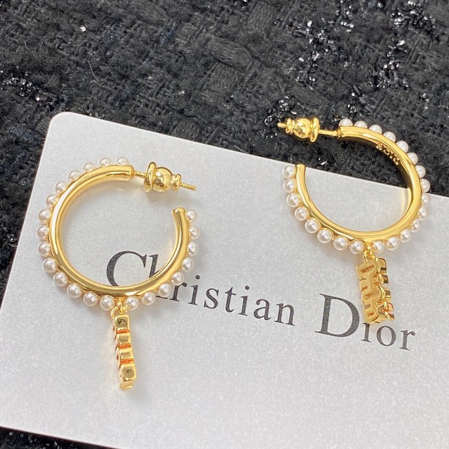 Dior Earrings CE7151