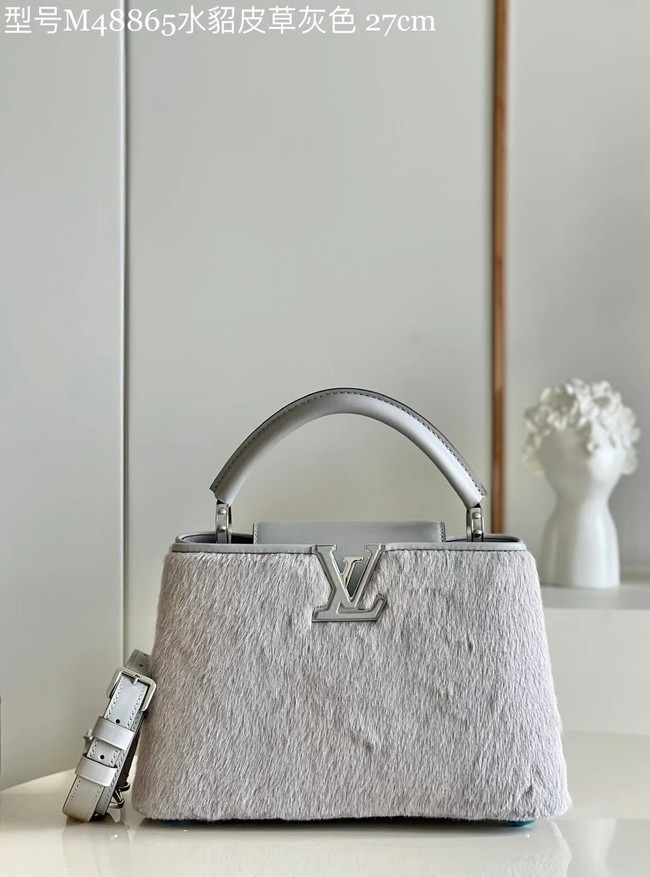 Louis Vuitton CAPUCINES BB M48865 gray Mink hair