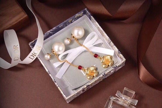 Dior Earrings CE7201