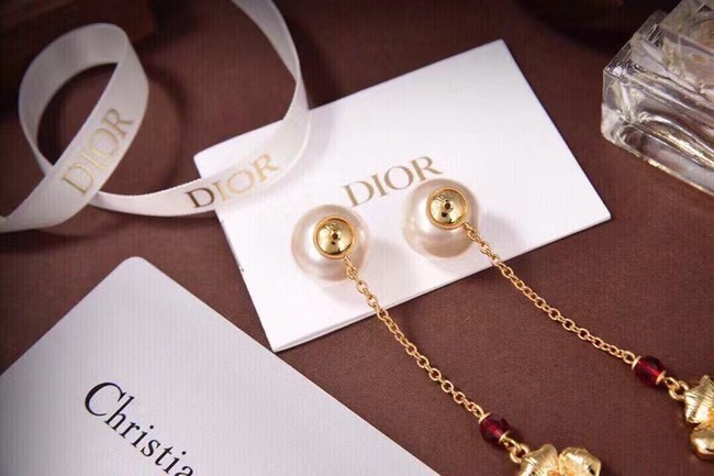 Dior Earrings CE7201