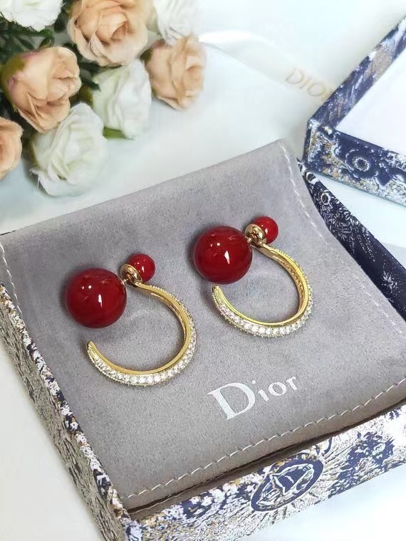 Dior Earrings CE7215