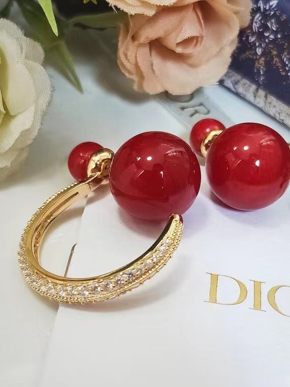 Dior Earrings CE7215