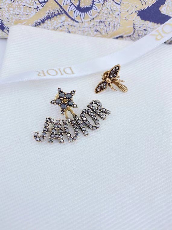 Dior Earrings CE7217