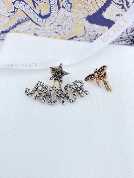 Dior Earrings CE7217