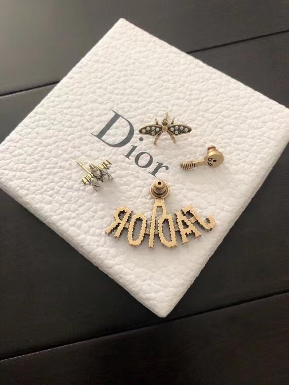Dior Earrings CE7218