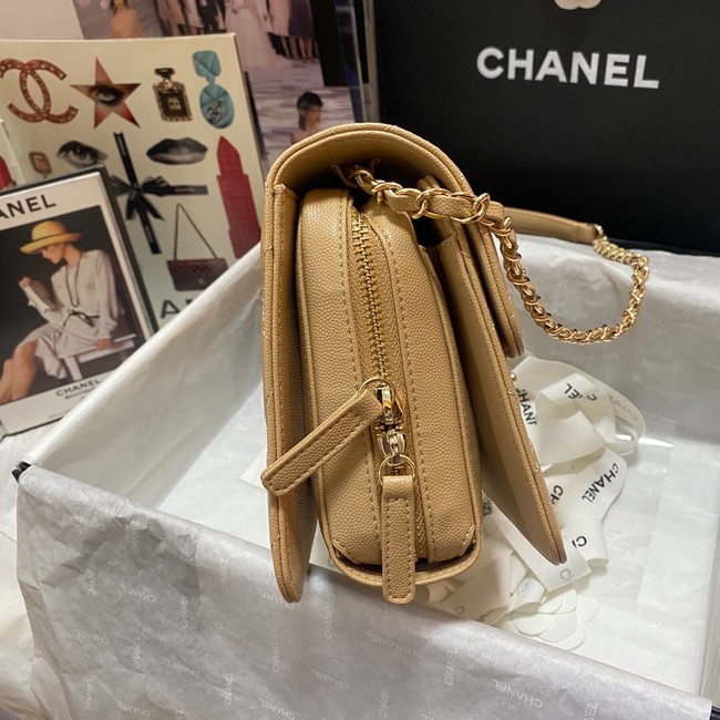 Chanel Flap Shoulder Bag Grained Calfskin AS3002 apricot