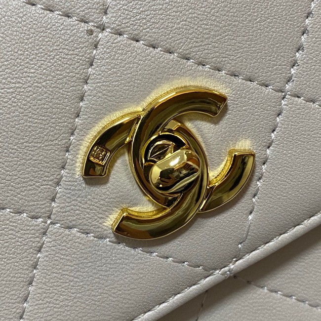 Chanel Shoulder Bags AS2457 WHITE