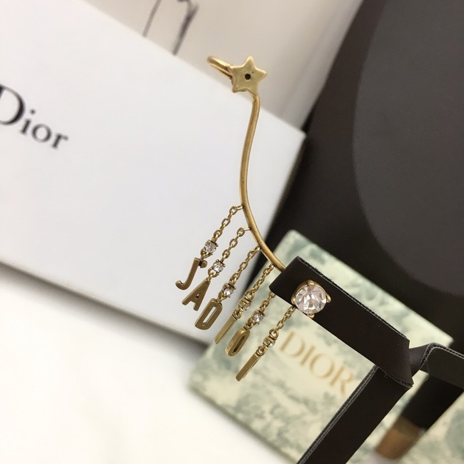 Dior Earrings CE7274