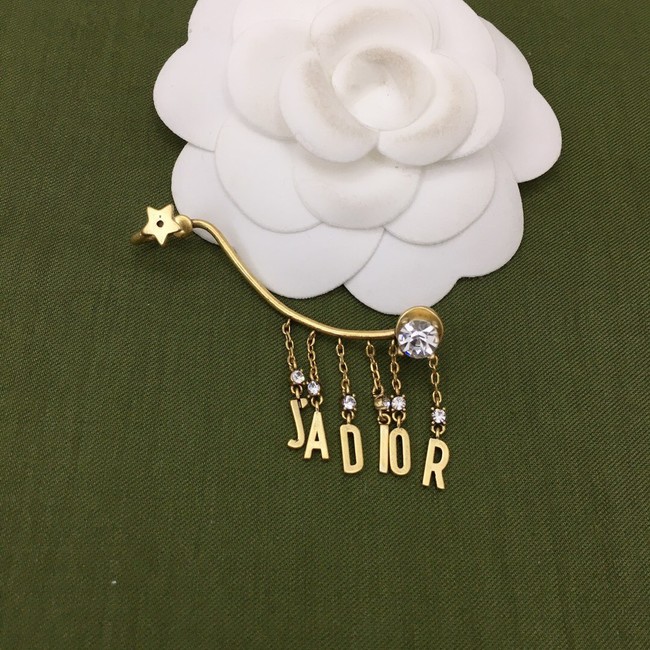 Dior Earrings CE7274