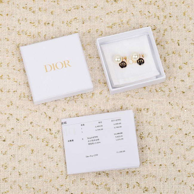 Dior Earrings CE7298