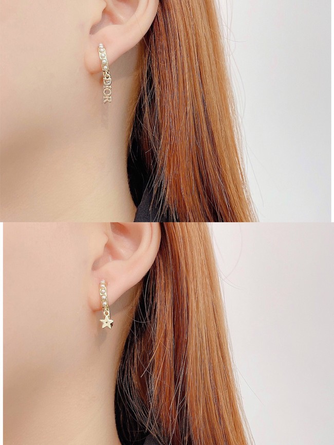 Dior Earrings CE7299