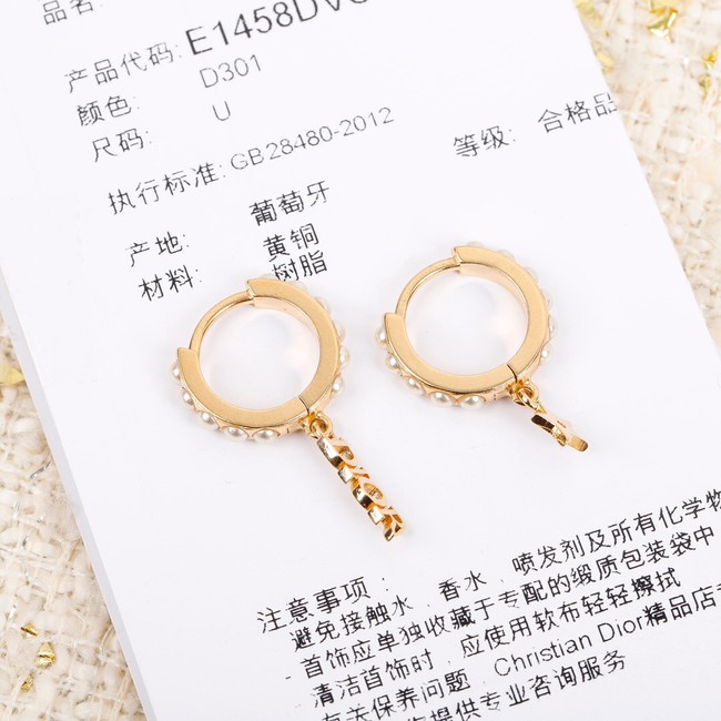 Dior Earrings CE7299