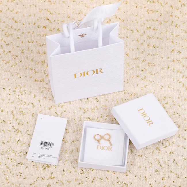 Dior Earrings CE7299