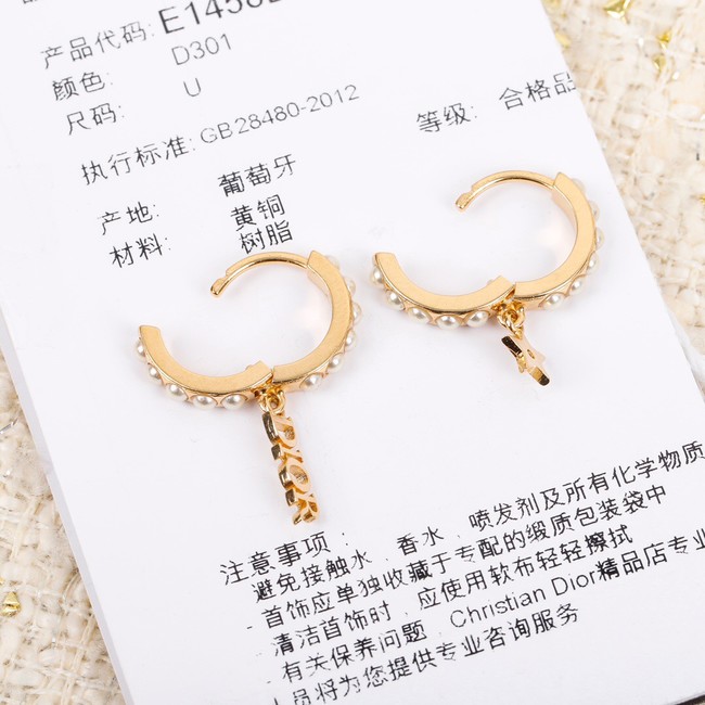 Dior Earrings CE7299