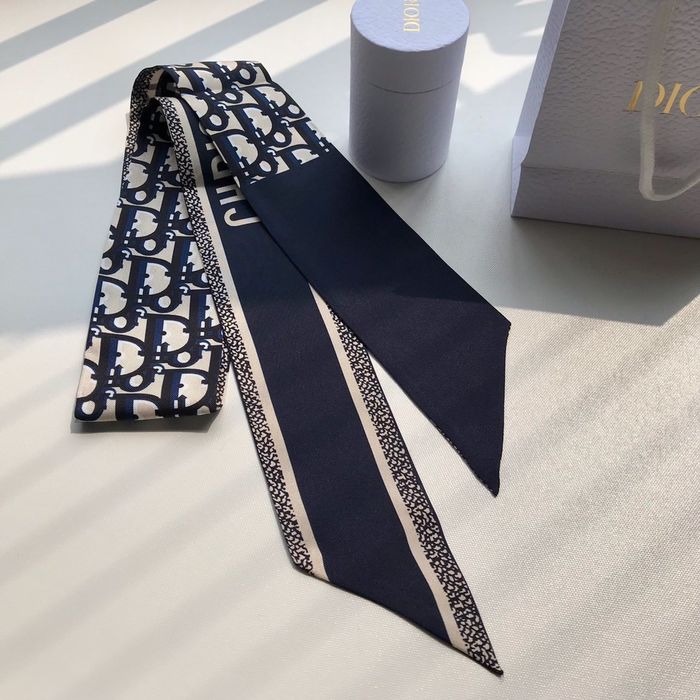 Dior Scarf CD00100