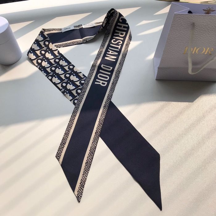 Dior Scarf CD00100