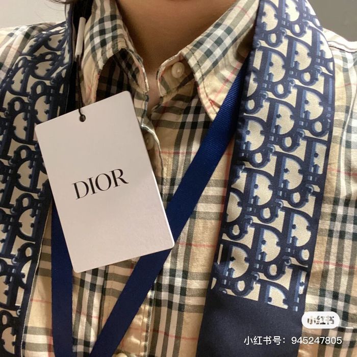Dior Scarf CD00101
