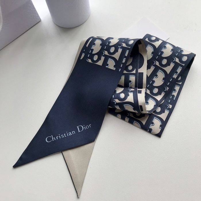 Dior Scarf CD00101