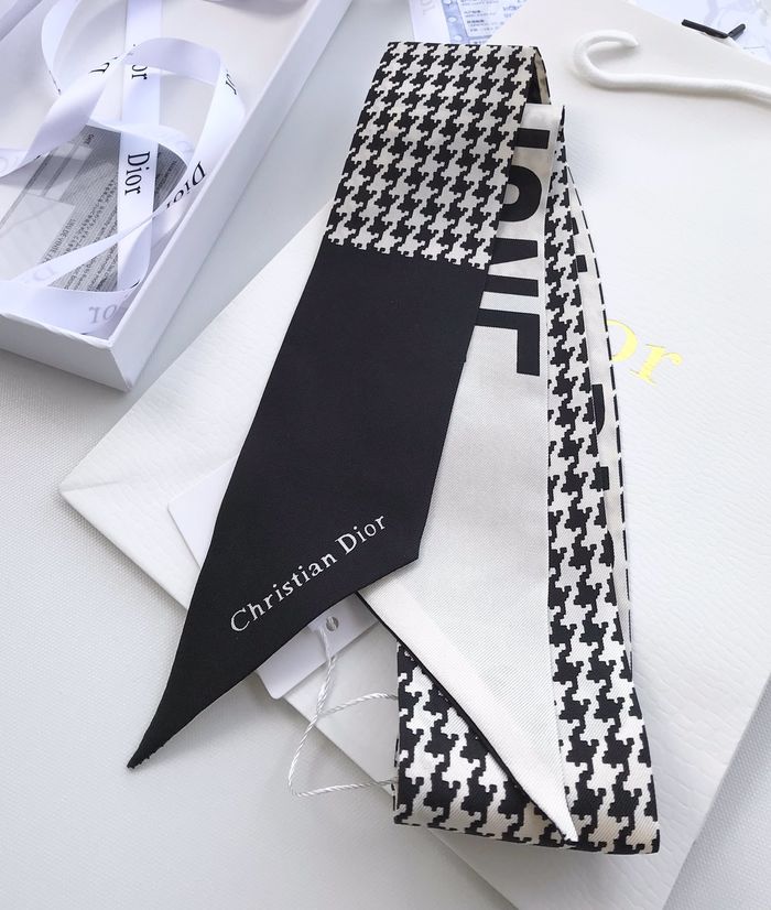 Dior Scarf CD00102