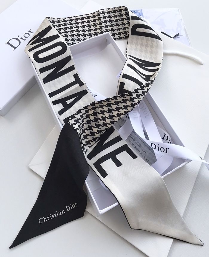 Dior Scarf CD00102