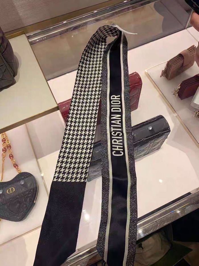 Dior Scarf CD00103