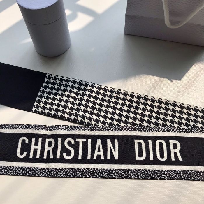 Dior Scarf CD00103