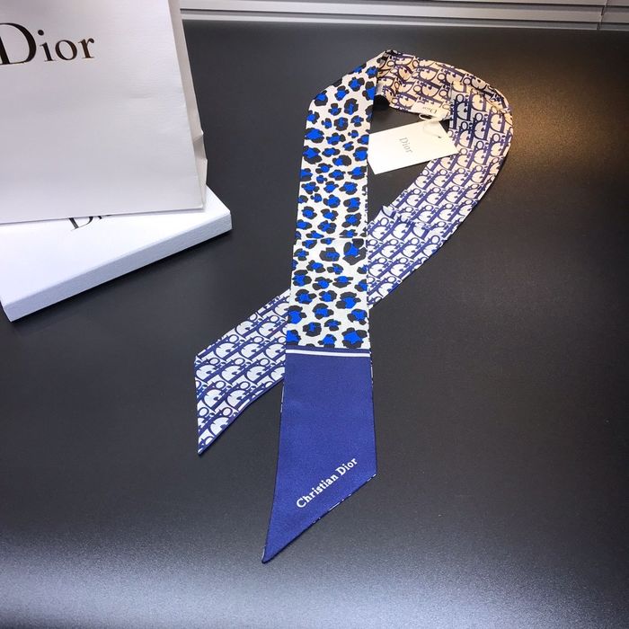 Dior Scarf CD00104