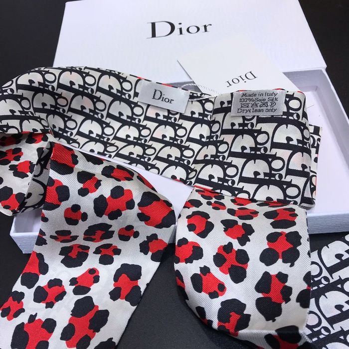 Dior Scarf CD00105