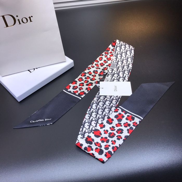 Dior Scarf CD00105