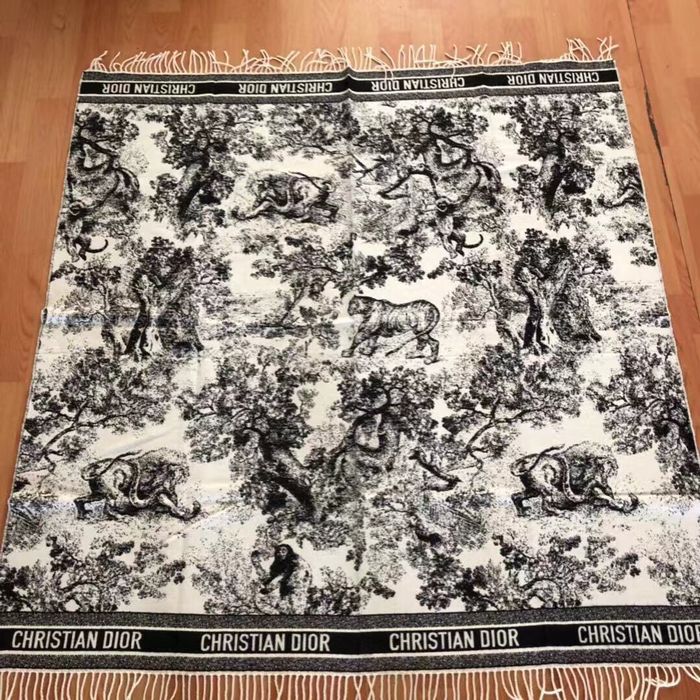 Dior Scarf CD00136