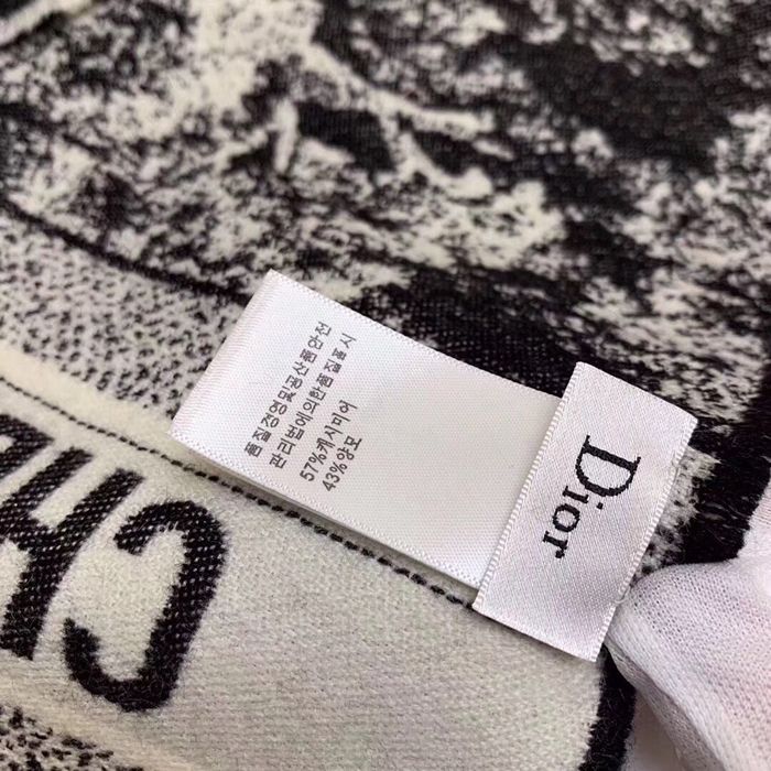 Dior Scarf CD00136