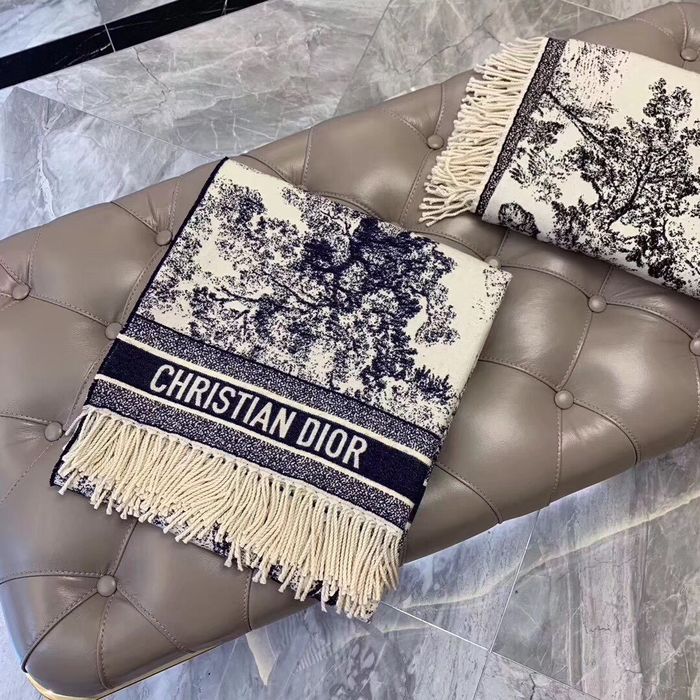 Dior Scarf CD00136