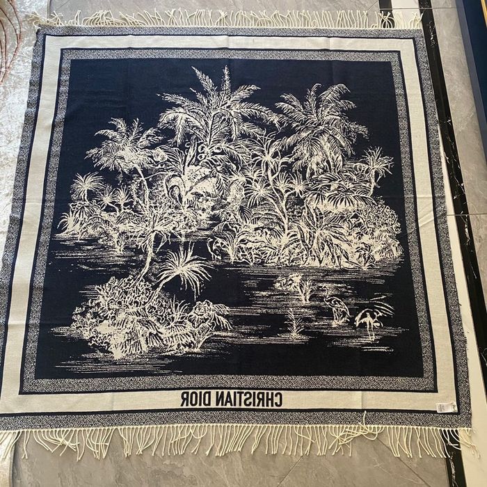 Dior Scarf CD00146