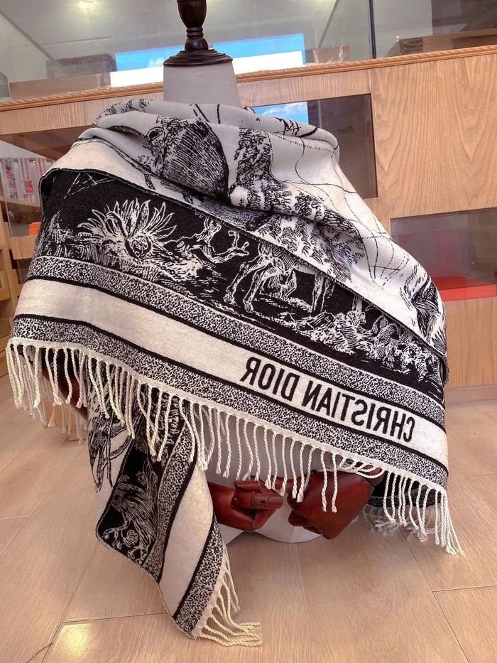 Dior Scarf CD00149