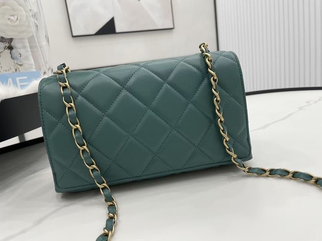 Chanel Flap Lambskin Shoulder Bag AS2557 green