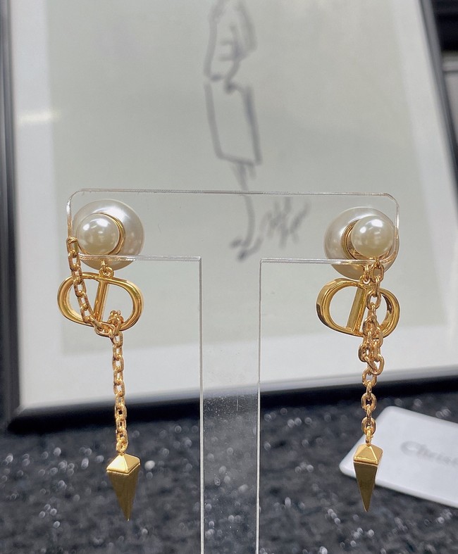 Dior Earrings CE7454