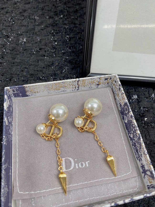Dior Earrings CE7454
