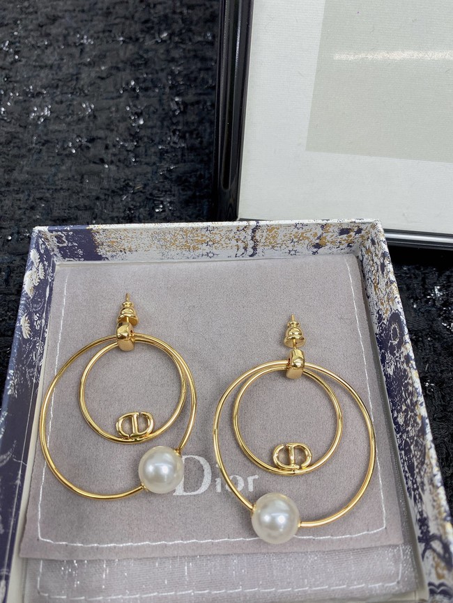 Dior Earrings CE7455